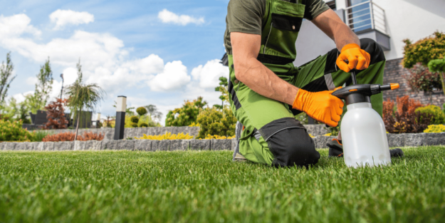 Biocidas no autorizados - A tu Salud