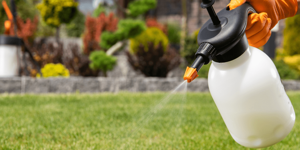 Biocidas no autorizados y problema real - A tu Salud