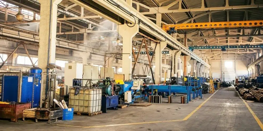 Estrategia roedores en invierno