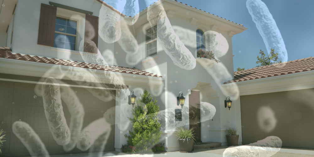 Legionela - A tu Salud