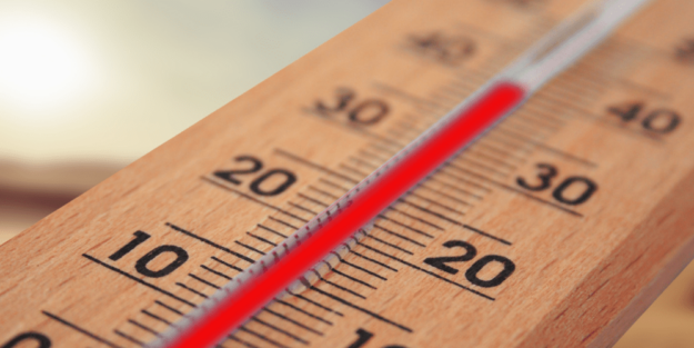 Medidas frente a riesgo de plagas por temperatura - A tu Salud