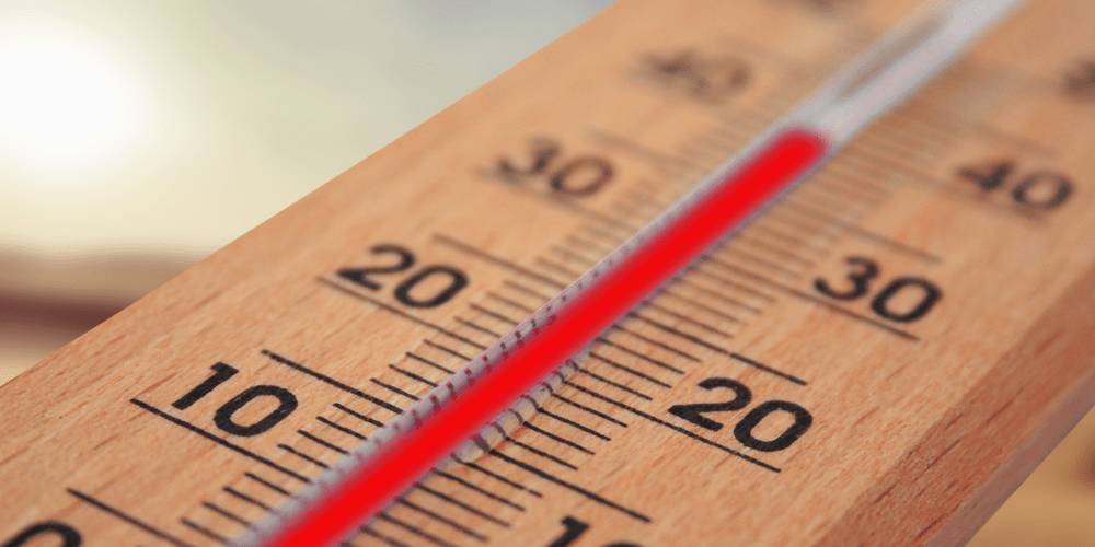 Medidas frente a riesgo de plagas por temperatura – A tu Salud Medidas frente a riesgo de plagas por temperatura - A tu Salud