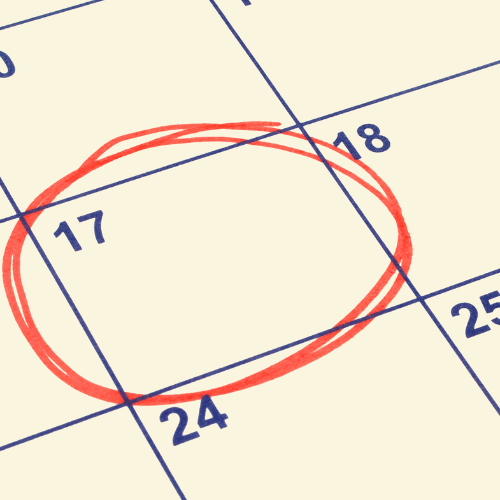 Plan anual de control de plagas Plan anual de control de plagas