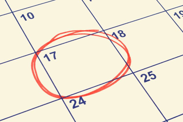 Plan anual de control de plagas Plan anual de control de plagas