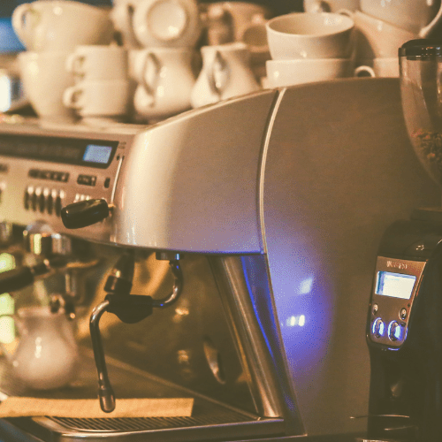 Roedores o insectos en tu negocio en temporada alta