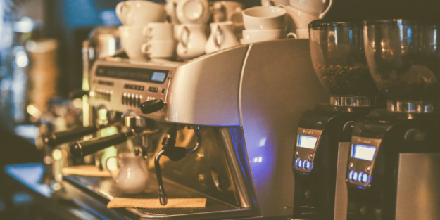 Roedores o insectos en tu negocio en temporada alta