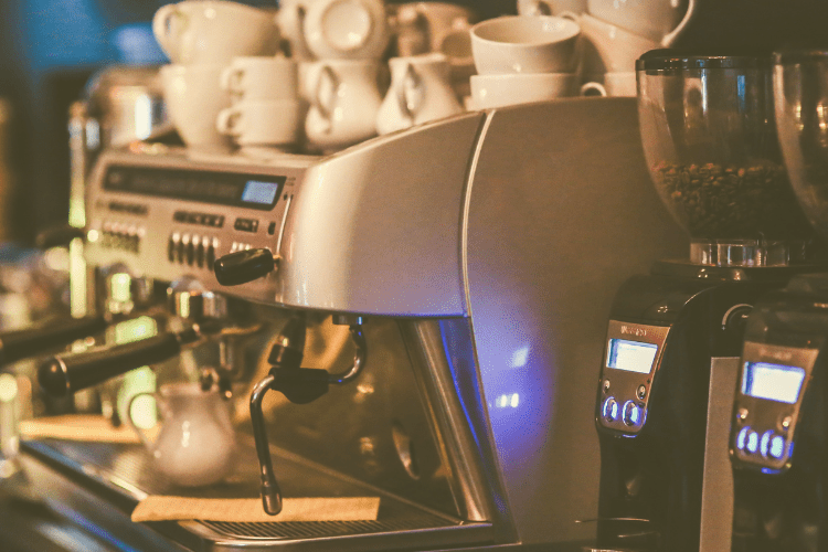 Roedores o insectos en tu negocio en temporada alta Roedores o insectos en tu negocio en temporada alta