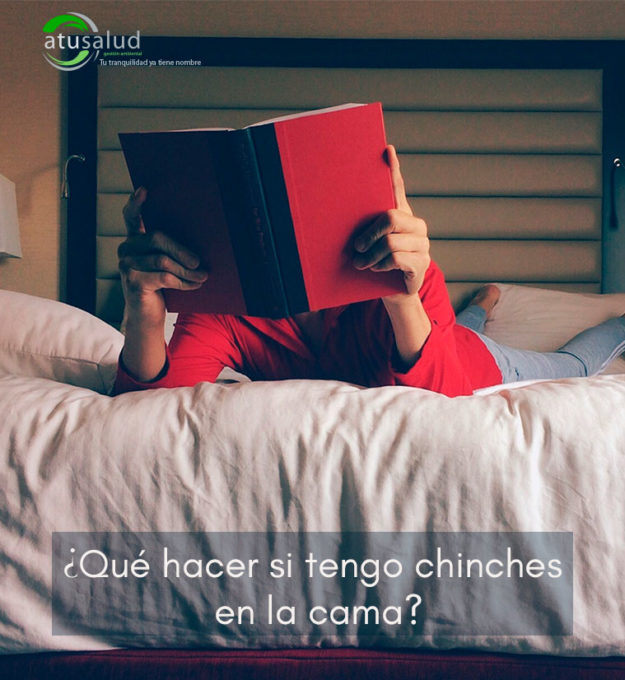evitar chinches en la cama