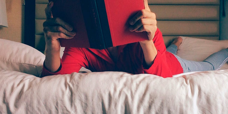 chinches en la cama evitar chinches en la cama