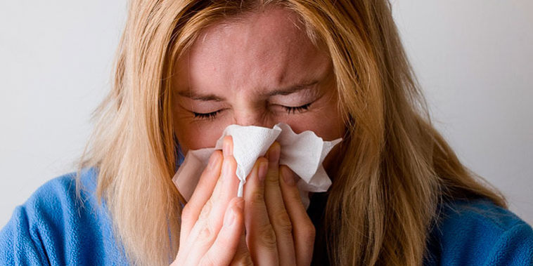 Alergias controladas gracias al control de plagas Control de plagas reduce las alergias