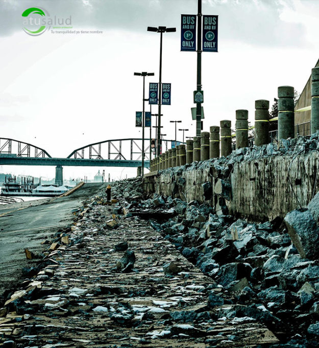 La legionella una bacteria difícil de destruir