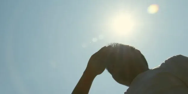 calor y plagas - a tu salud ambiental