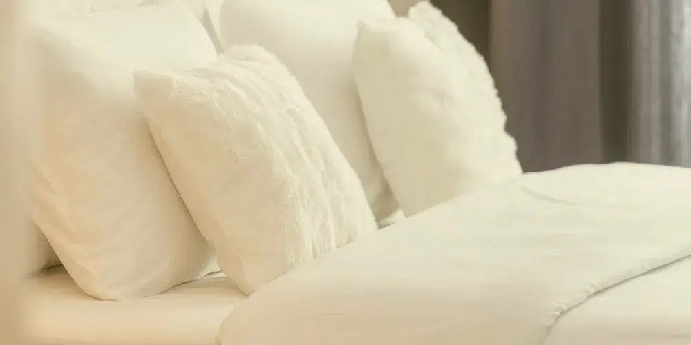 control de chinches en hoteles, residencias, viviendas