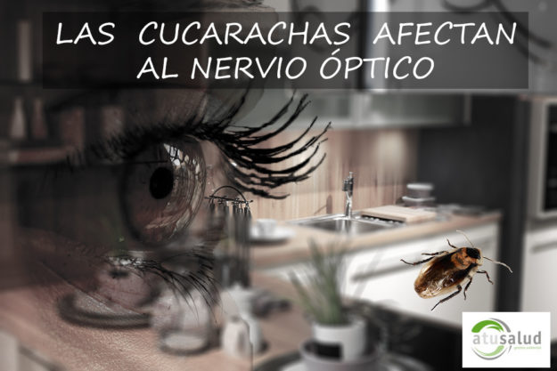 cucarachas afectan al nervio optico