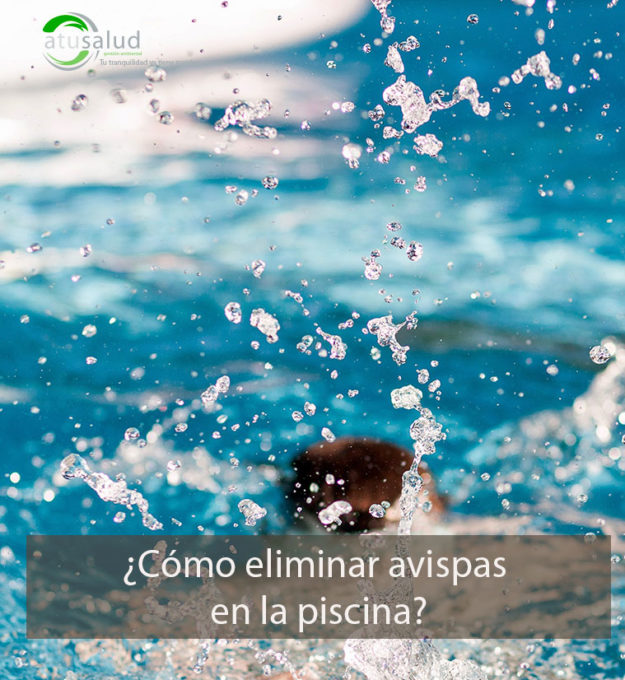 ¿Cómo eliminar avispas en la piscina?