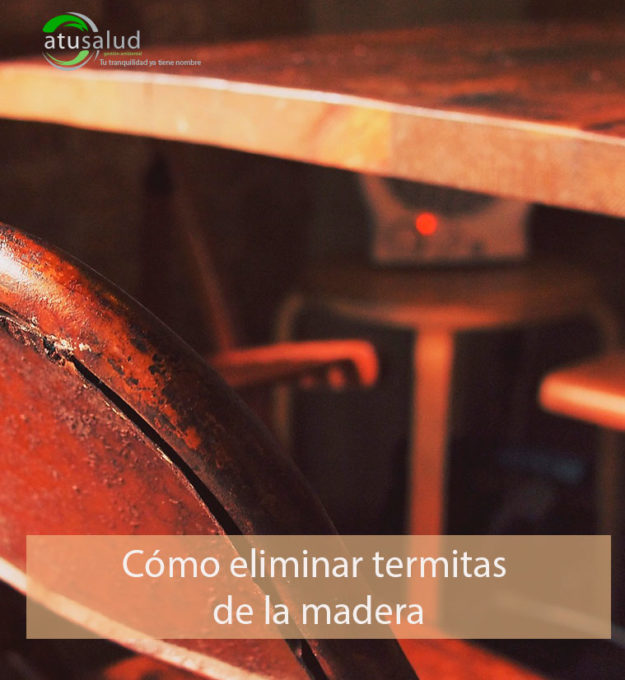 cómo eliminar termitas de la madera