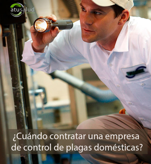 ¿Cuándo contratar una empresa de control de plagas domésticas?