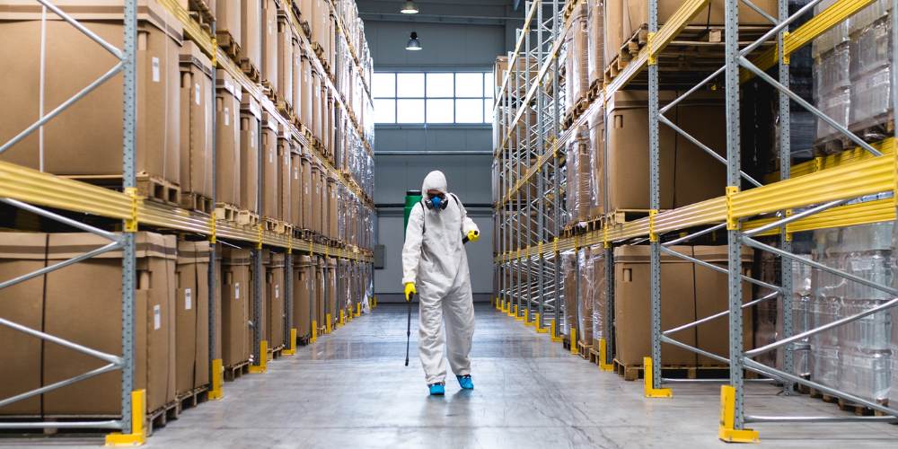 estrategias para eliminar chinches