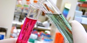 importancia plagas importancia control de plagas