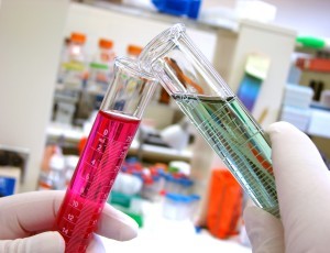 importancia control de plagas