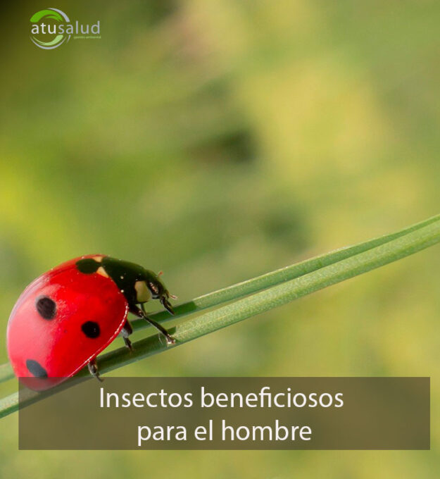 Insectos beneficiosos para el hombre