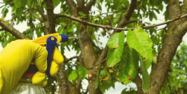 las plagas que proliferan en verano - a tu salud ambiental
