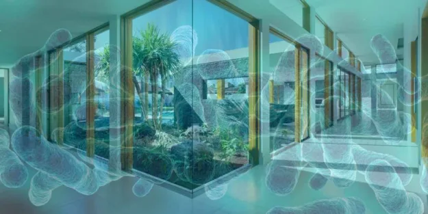 legionelosis en casa cómo trabajarla y evitarla