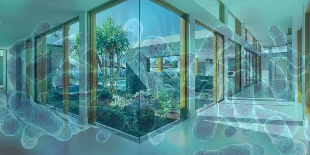 legionelosis en casa cómo trabajarla y evitarla