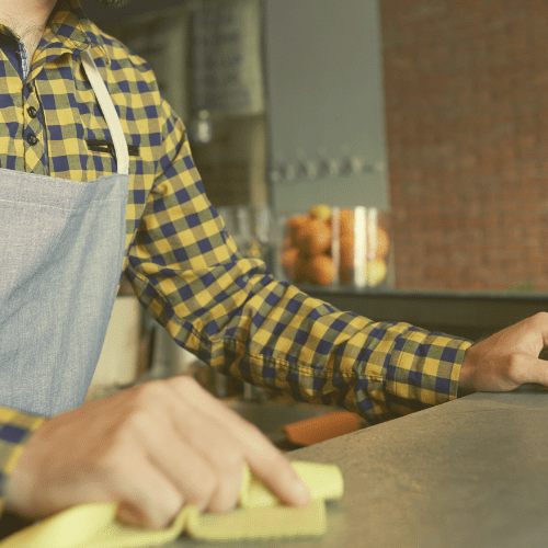 limpieza para plagas con personal temporal limpieza para plagas con personal temporal