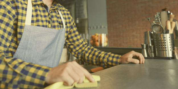 limpieza para plagas con personal temporal