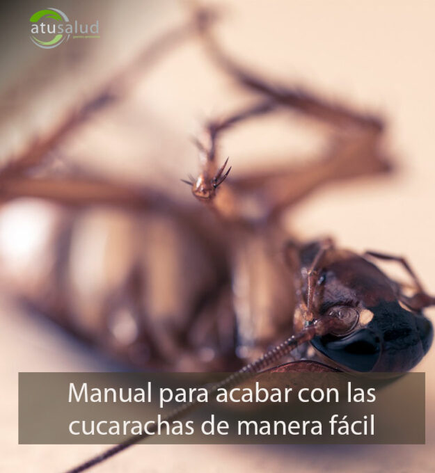 Manual para acabar con las cucarachas de manera fácil y económica