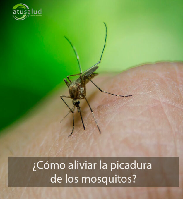 ¿Cómo aliviar la picadura de los mosquitos?
