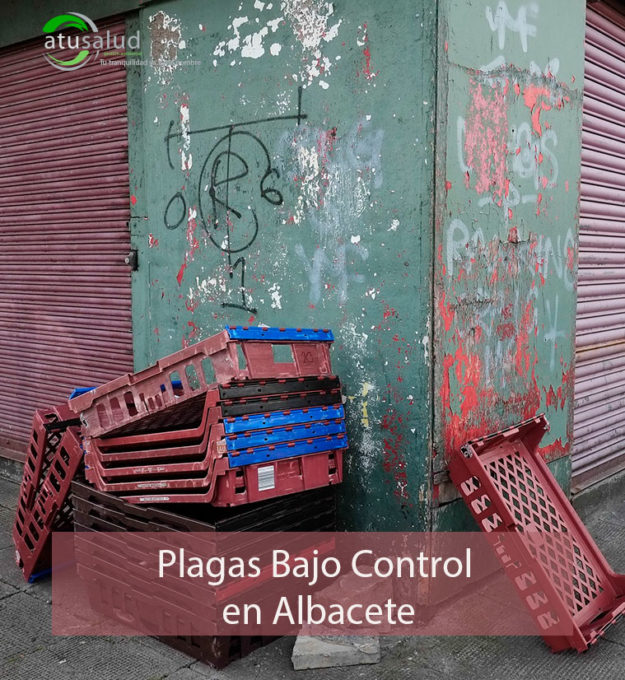 Plagas bajo control en todo Albacete