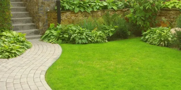 plagas en verano - a tu salud ambiental