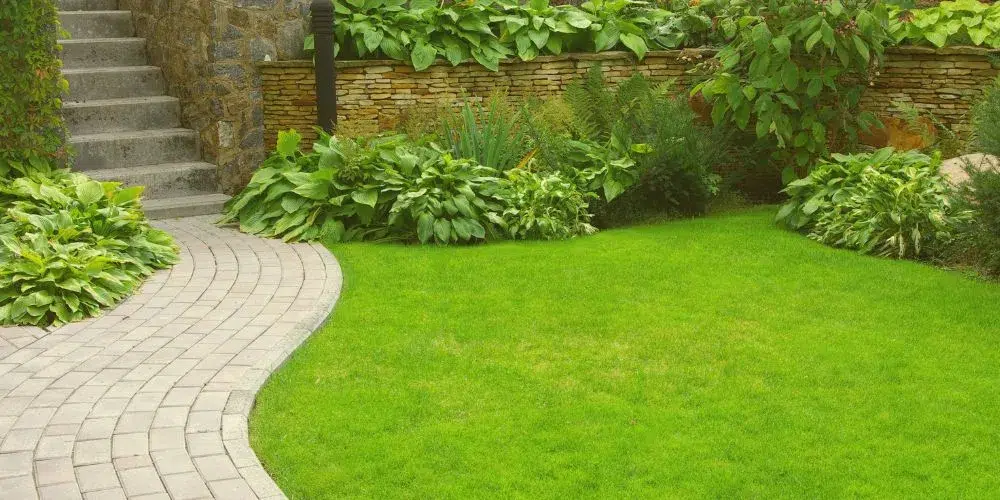 plagas en verano – a tu salud ambiental plagas en verano - a tu salud ambiental