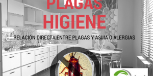 plagas desencadentes asma plagas desencadentes asma