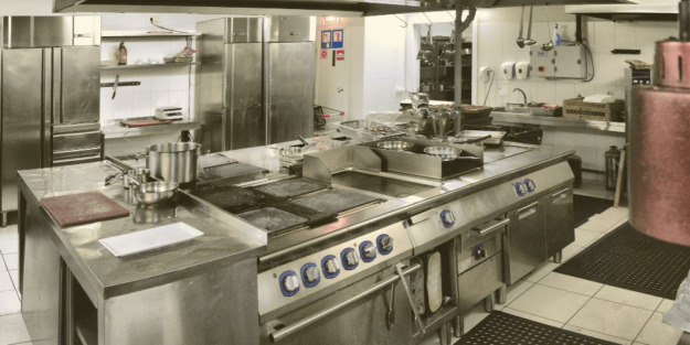 plan de acción para cucarachas en cocinas profesionales