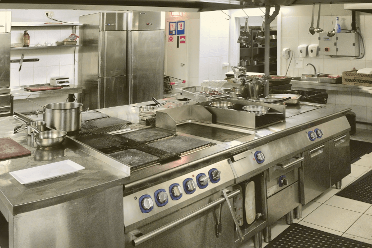 plan de acción para cucarachas en cocinas profesionales plan de acción para cucarachas en cocinas profesionales