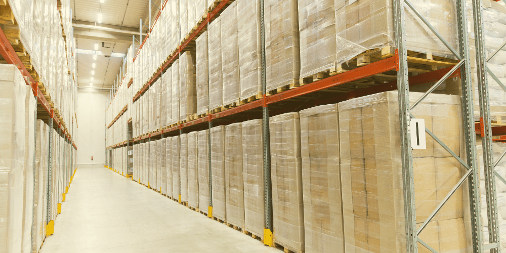 problemas con roedores como controlarlos