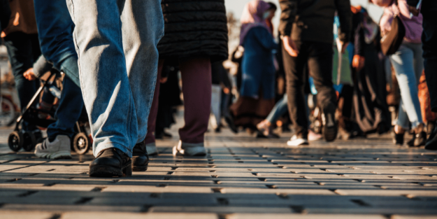 proyecto GARES garrapatas proyecto GARES garrapatas