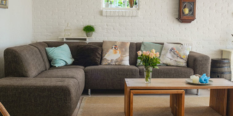 Resultados positivos tras un control de plagas Resultados positivos tras un control de plagas